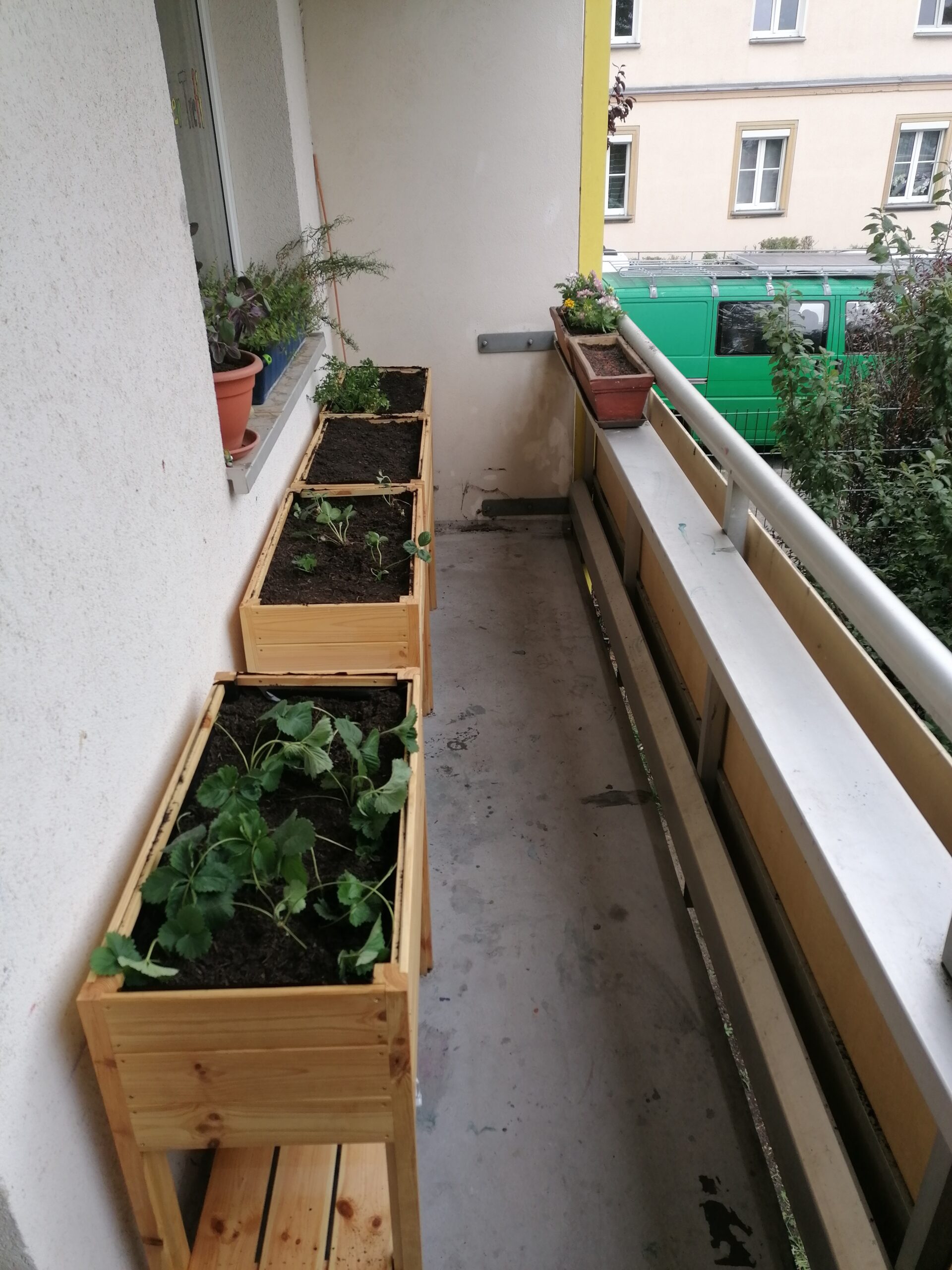 Grüner Balkon im „Treff im Hochhaus“